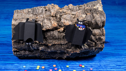 Basteln Fledermaus